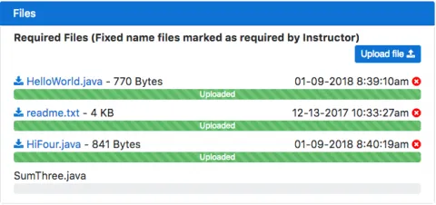 Assignment upload files